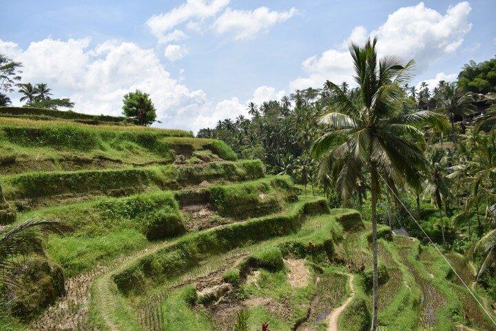 Bali Private 2-dages tur til ikoniske Bali