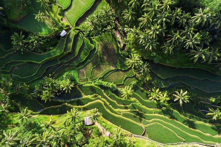 Bali Private 2-dages tur til ikoniske Bali