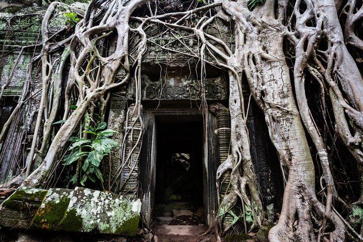 Explore Angkor Temple Tour with Private Vehicle & Tour Guide