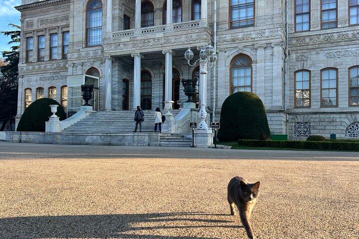 Step into Royalty : Private Dolmabahçe Palace & Ottoman Culinary