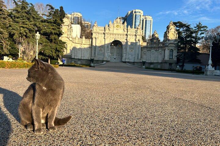 Step into Royalty : Private Dolmabahçe Palace & Ottoman Culinary