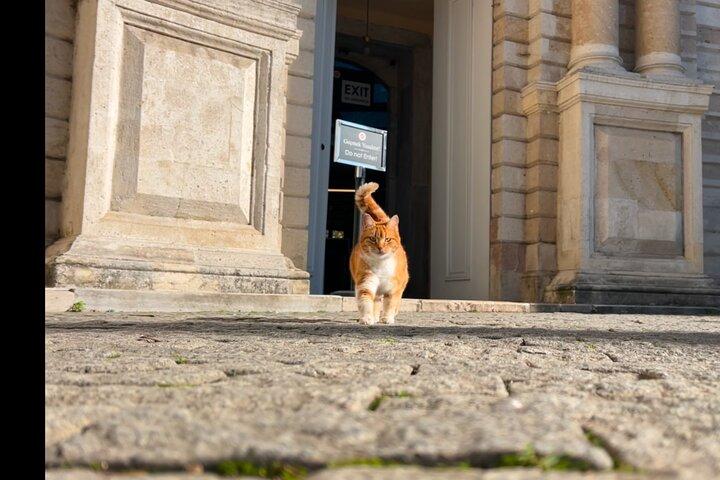 Step into Royalty : Private Dolmabahçe Palace & Ottoman Culinary