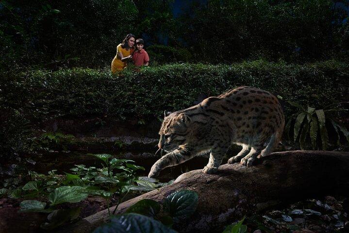 Singapore Night Safari Ticket Experience