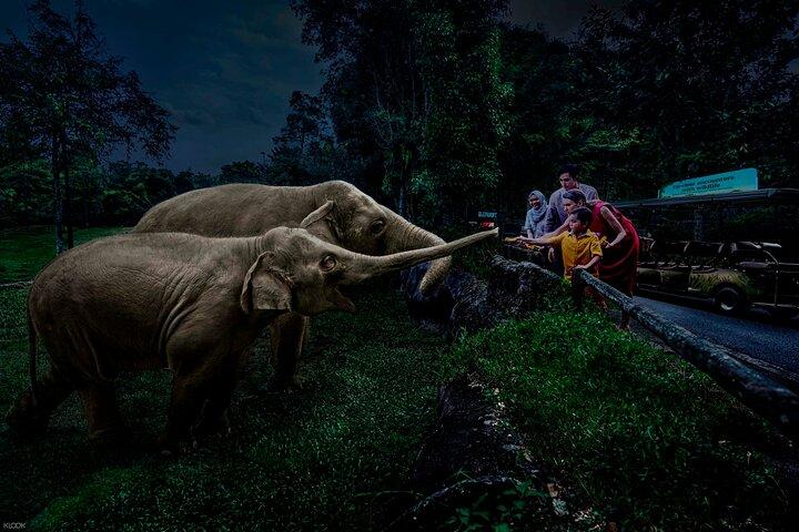Singapore Night Safari Ticket Experience