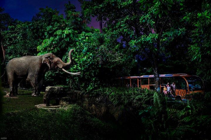 Singapore Night Safari Ticket Experience