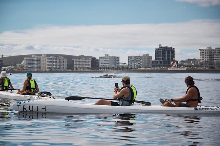 Dolphin And Ocean Wildlife Kayaking Adventure on Promenade