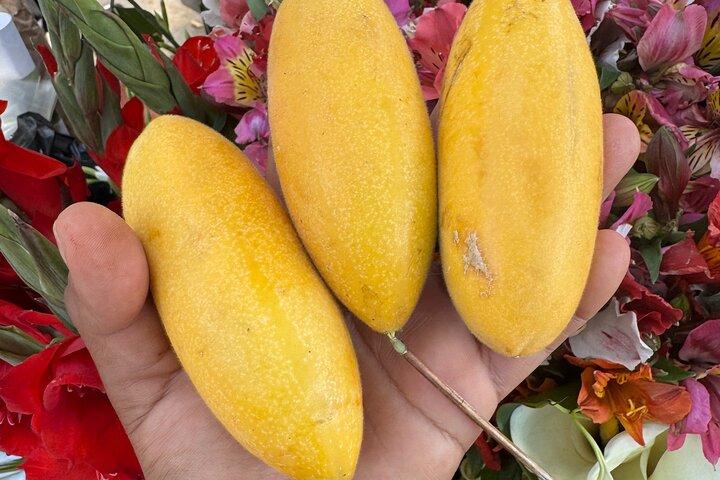 本物のオアハカ文化の食べ物ツアー、地元の人のように食べる。