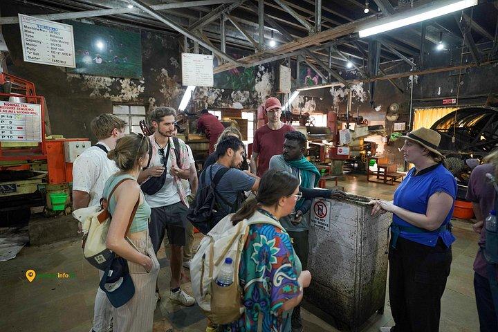 Munnar Tea Trail Tour with Factory Experience ( By Munnar Info)