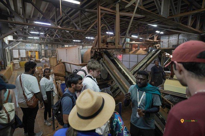 Munnar Tea Trail Tour with Factory Experience ( By Munnar Info)