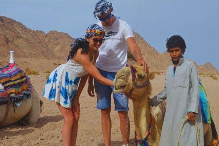 Hoteller i nærheden af Hurghada Safari Plus by Quad, Buggy, Camel & Dinner