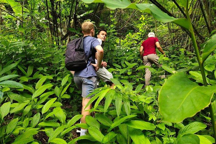 De Chiang Rai Jungle Adventure Grupo Trekking Cozinha de bambu