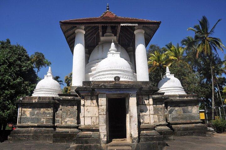 キャンディ発ペラデニヤ＆ネリガラ日帰りツアー付き3つの寺院