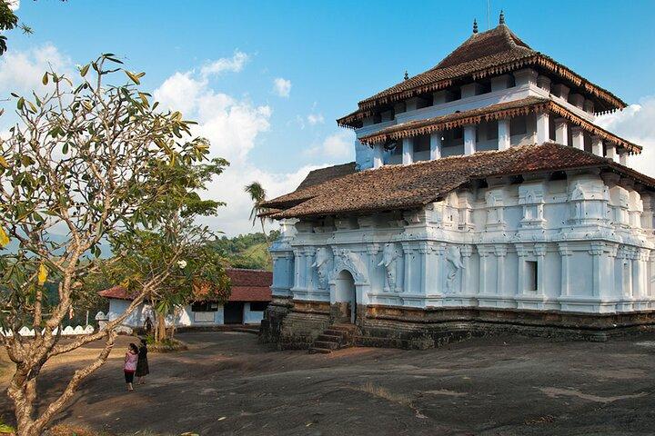 キャンディ発ペラデニヤ＆ネリガラ日帰りツアー付き3つの寺院