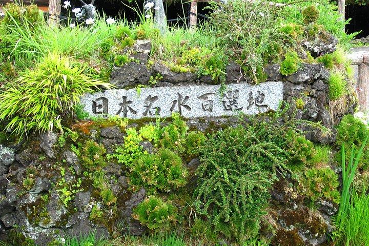 富士山、忍者村、大石公園、忠霊塔日帰りツアー