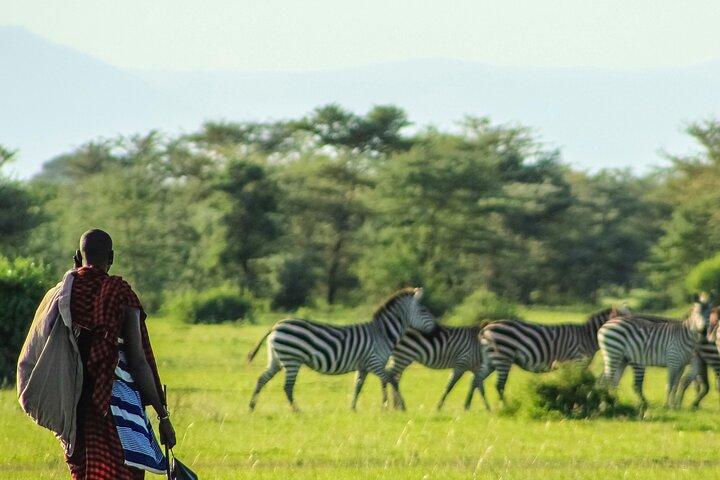 3-dagars privat Mara Migration Safari upplevelse