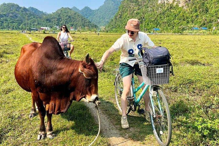 Explorez Halong, Lan Ha Bay en 4 heures