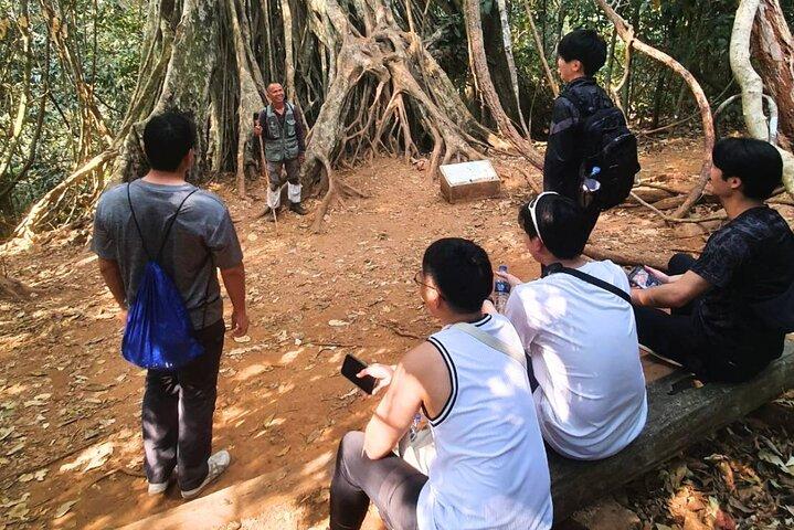 Khao Yai Waterfalls and Wilderness Tour Privado com Chartered