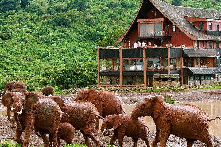 11 jours Kenya Lodge Holiday Safari