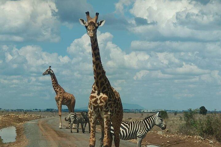 Nairobi Park, Centro de la Jirafa, Centro de Cuentas y Museo Karen Blixen