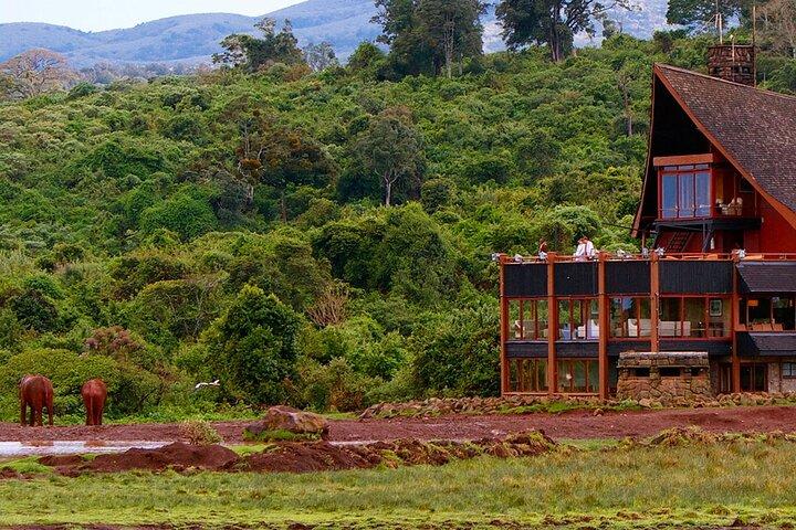 Safari di 6 giorni con rinoceronte a Ol Pejeta Samburu Solio e Aberdares