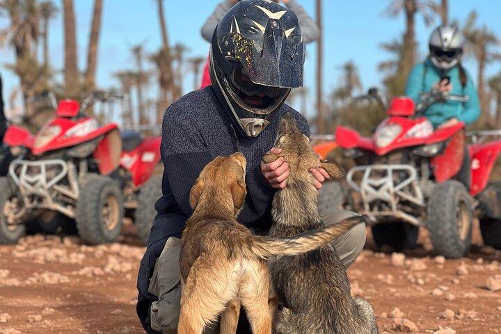 Quad Bike Tour in Marrakech's Palmeraie Desert with Hotel Pick up