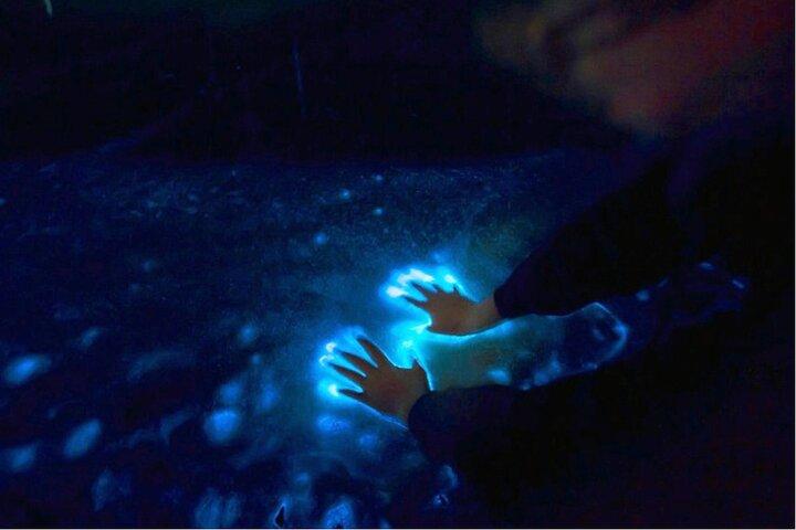 Tour in barca al tramonto e bioluminescenza alle isole Los Arcos