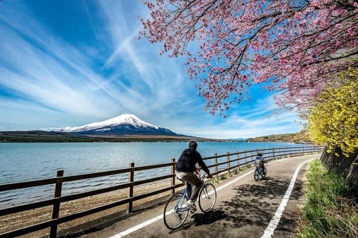 Mt fuji & Hakone customizable day tour w/ English speaking driver