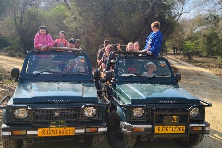 Golden Triangle Tour med Ranthambore