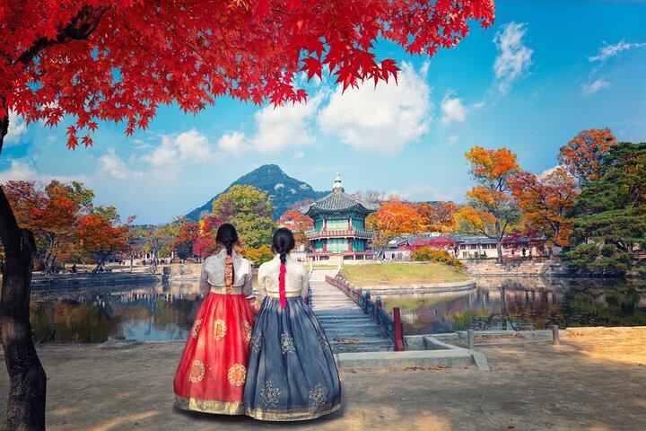 Tour privato: Seoul o DMZ