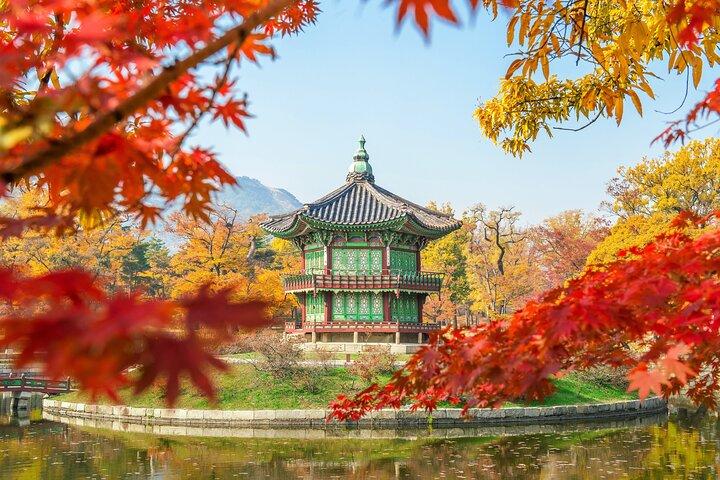 Tour privato: Seoul o DMZ