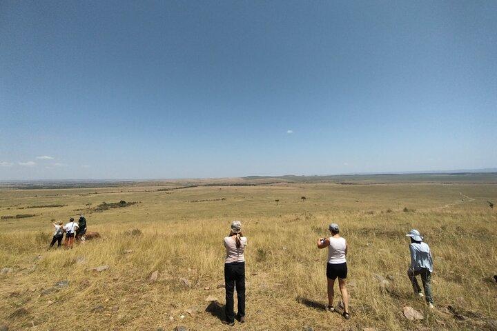 Safari compartido de 3 días en Maasai Mara desde Nairobi