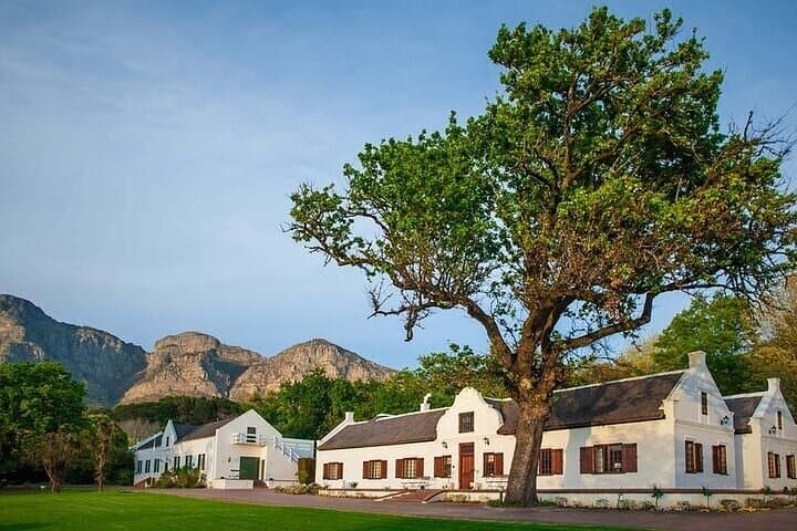 Franschhoek Wine Tram Hop-On Hop-Off Tour from Cape Town.