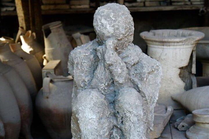 Pompeii Private Guided Tour from Rome with Lunch