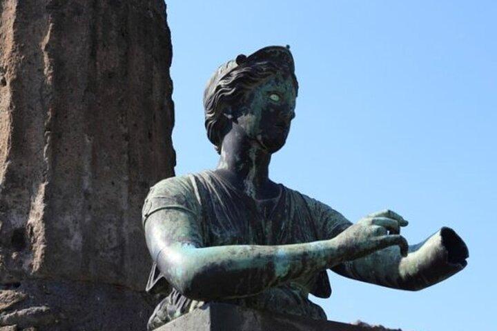 Pompeii Private Guided Tour from Rome with Lunch
