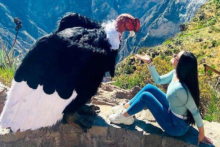 Paquete 2 días Puno Cañón del Colca Arequipa