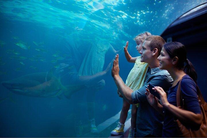 Antalya : Acuario, Museo de Cera & Combo Opciones del paquete