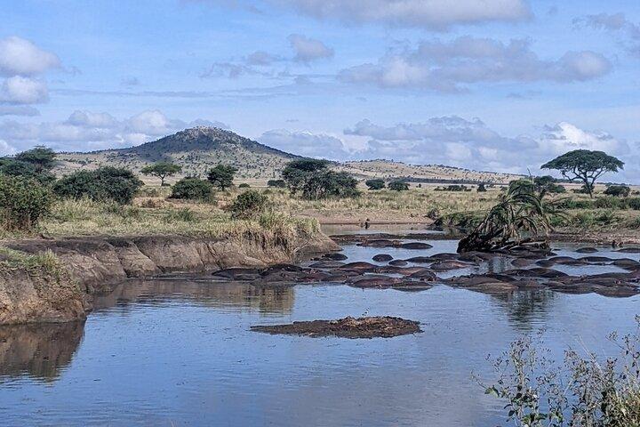 Udforsk Ngorongoro med 5-dages guidet tur fra Kilimanjaro