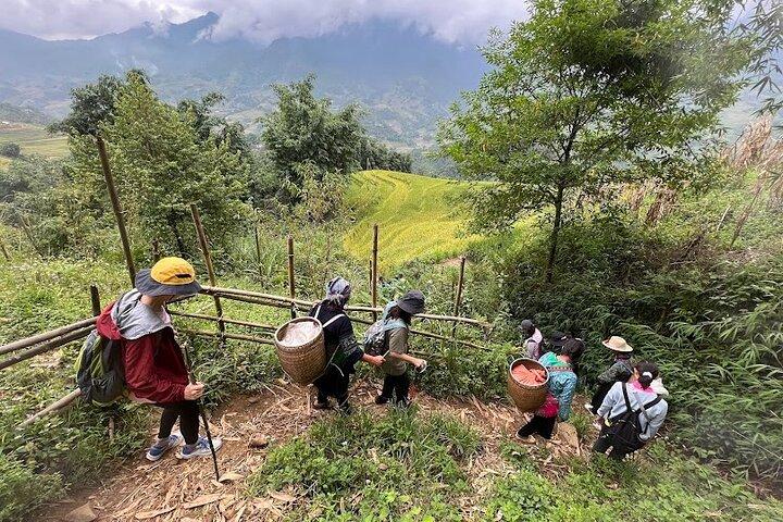 Trekking a Hau Thao, Hang Da, e Sa Seng