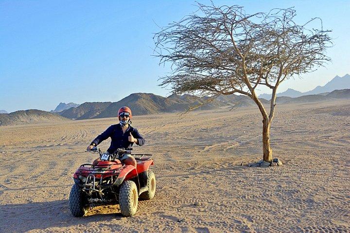 フルガダVIPデザートサファリ-ATV、バギー、ラクダ-ベドウィンBBQ＆サンセット