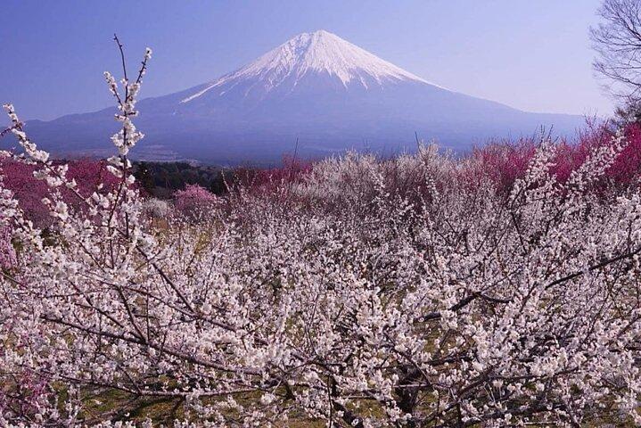 Mt Fuji & Hakone tilpasselig privat tur med Engelsk chauffør