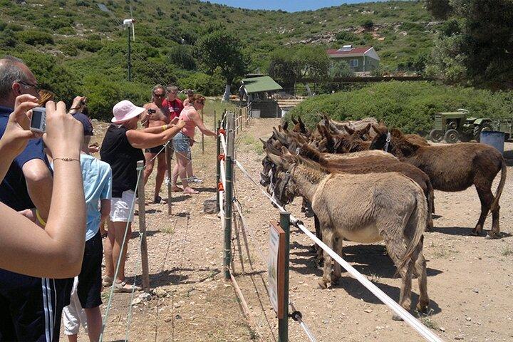 Cesme Bootstour Hidden Bays Kreuzfahrt mit Schwimmstopps