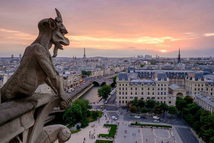 Notre-Dame-kathedraal met toegang