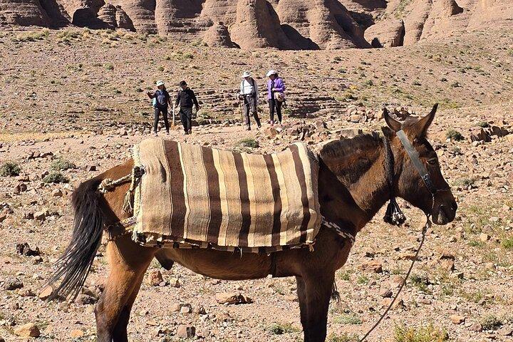 Marrakech To Jbel Saghro Trekking