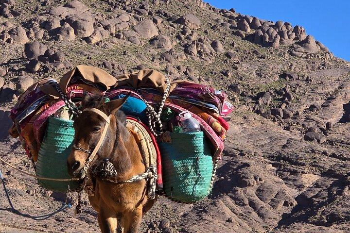Marrakech To Jbel Saghro Trekking