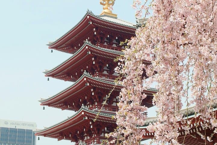 Tokyo City Adventures Private English Tour With Hotel Pickup