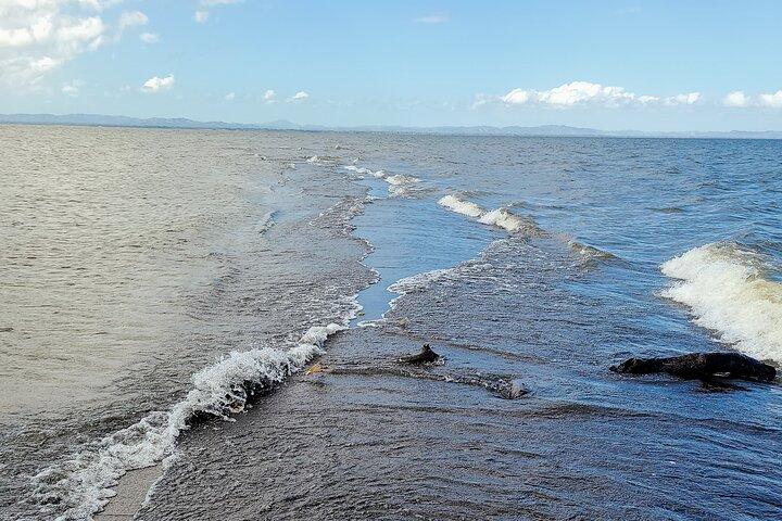 Vanuit Managua: Ometepe Island Volledige dagtrip op het 11e wonder