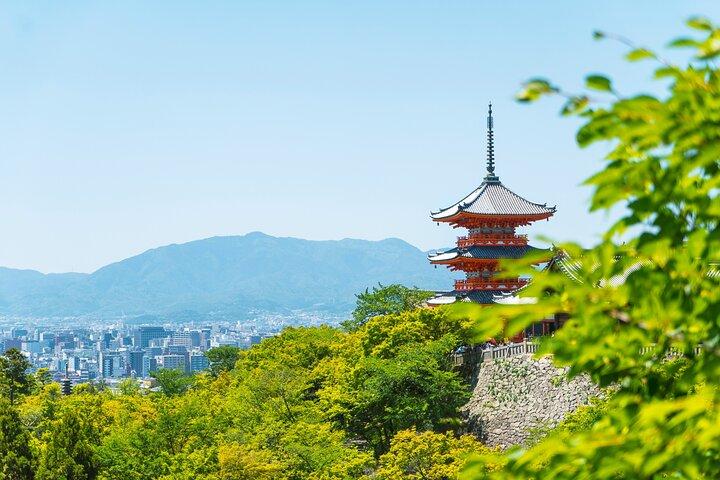 Excursion privée d'une journée personnalisable à Kyoto avec chauffeur Anglais