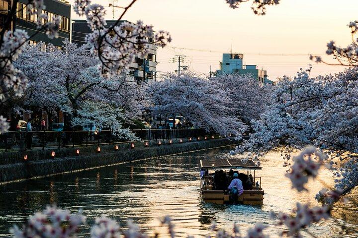 Excursion privée d'une journée personnalisable à Kyoto avec chauffeur Anglais