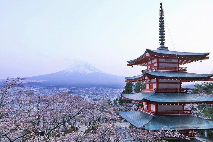 東京からの送迎付き車での富士山プライベートツアー