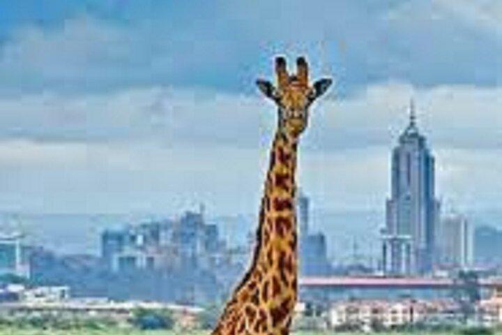 ナイロビ国立公園シェルドリック野生生物・キリンセンター